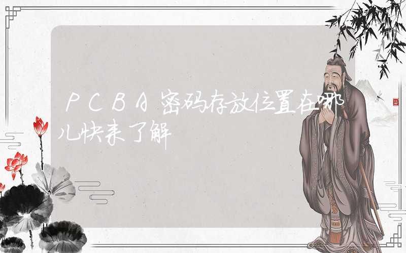 PCBA密码存放位置在哪儿快来了解