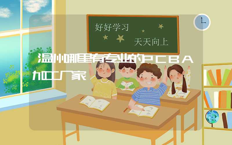 温州哪里有专业的PCBA加工厂家