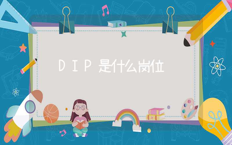 DIP是什么岗位