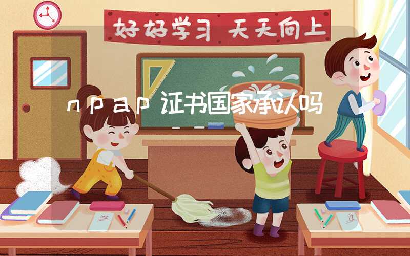npap证书国家承认吗